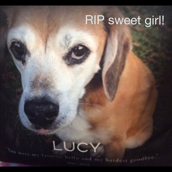 Meet your Posher, Rebecca - Picture 11 of 14